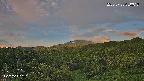 foresta1-20250728050016.jpg