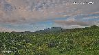 foresta1-20250728053015.jpg