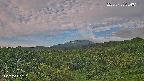 foresta1-20250728054015.jpg