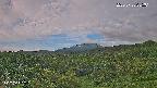 foresta1-20250728055015.jpg