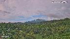 foresta1-20250728060016.jpg