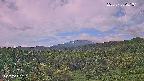 foresta1-20250728061016.jpg