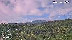 foresta1-20250728062017.jpg