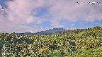 foresta1-20250728063017.jpg