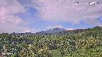foresta1-20250728064016.jpg