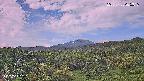 foresta1-20250728065017.jpg