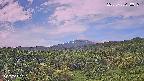 foresta1-20250728070016.jpg