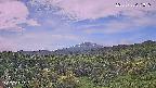 foresta1-20250728071016.jpg