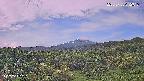 foresta1-20250728072016.jpg