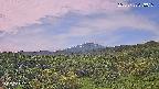 foresta1-20250728073016.jpg