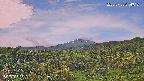 foresta1-20250728074016.jpg