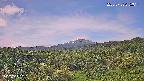foresta1-20250728075015.jpg