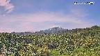 foresta1-20250728080016.jpg