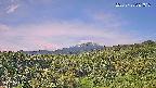 foresta1-20250728081016.jpg