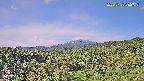 foresta1-20250728082017.jpg