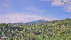 foresta1-20250728083016.jpg