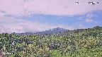 foresta1-20250728085016.jpg