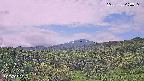 foresta1-20250728090015.jpg