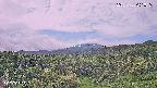 foresta1-20250728091016.jpg