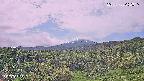 foresta1-20250728092016.jpg