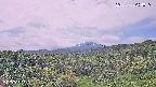 foresta1-20250728094016.jpg