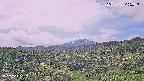 foresta1-20250728095017.jpg