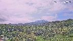 foresta1-20250728100017.jpg