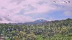 foresta1-20250728101017.jpg