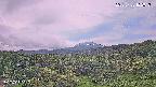 foresta1-20250728102017.jpg