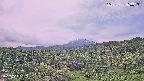 foresta1-20250728103017.jpg