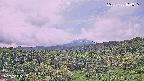 foresta1-20250728104016.jpg