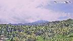 foresta1-20250728105016.jpg