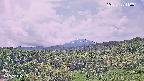 foresta1-20250728110016.jpg