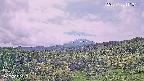 foresta1-20250728111016.jpg