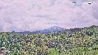 foresta1-20250728113023.jpg