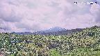 foresta1-20250728120048.jpg