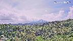 foresta1-20250728122017.jpg