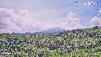 foresta1-20250728123121.jpg