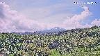 foresta1-20250728124017.jpg