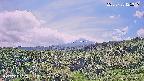 foresta1-20250728125017.jpg