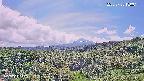 foresta1-20250728130016.jpg