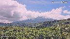 foresta1-20250728133223.jpg