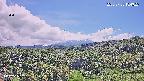 foresta1-20250728134023.jpg