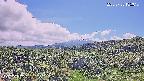 foresta1-20250728135016.jpg
