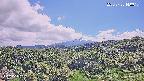 foresta1-20250728140016.jpg