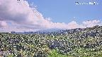 foresta1-20250728142016.jpg