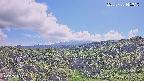 foresta1-20250728145016.jpg