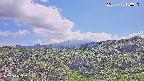 foresta1-20250728150016.jpg