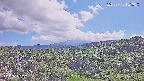 foresta1-20250728151016.jpg