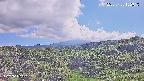 foresta1-20250728152016.jpg